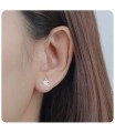 Silver Stud Earring ST-2100